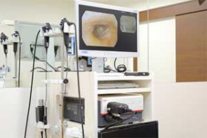 鼻咽喉用内視鏡