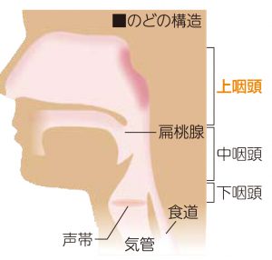 上咽頭炎（のど風邪）