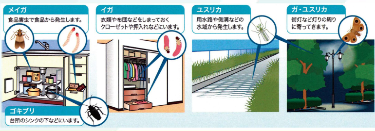 昆虫のアレルギー性鼻炎